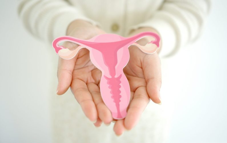 AdobeStock_1007504719