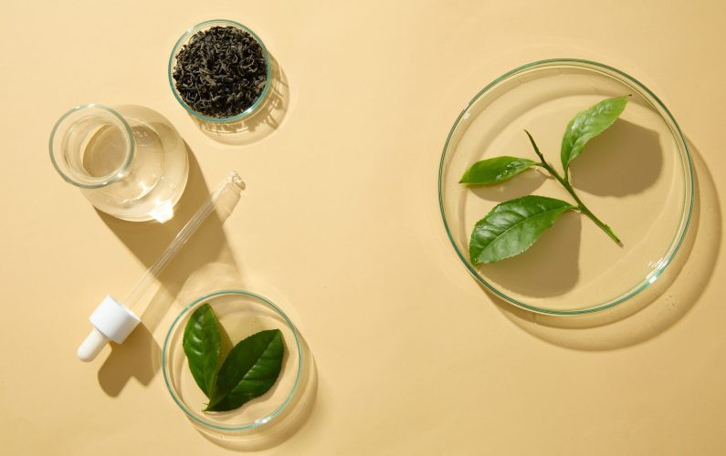 Beige background with laboratory concept for advertising cosmetic extracted from green tea. Blank space for cosmetic presentation. Green tea has long been considered an herbal that helps prevent aging