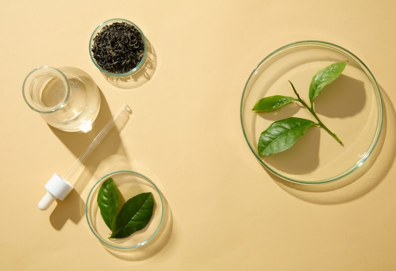 Beige background with laboratory concept for advertising cosmetic extracted from green tea. Blank space for cosmetic presentation. Green tea has long been considered an herbal that helps prevent aging