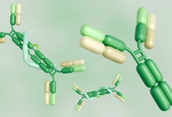3d rendering of scattered immunoglobulin A, or IgA, molecules in conjunction with secretory protein with Y shape antibody molecules