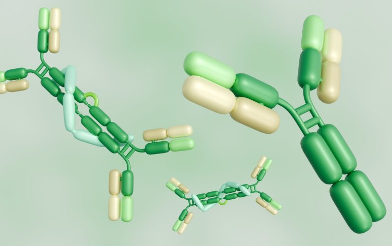 3d rendering of scattered immunoglobulin A, or IgA, molecules in conjunction with secretory protein with Y shape antibody molecules
