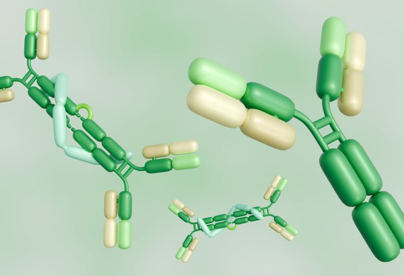 3d rendering of scattered immunoglobulin A, or IgA, molecules in conjunction with secretory protein with Y shape antibody molecules